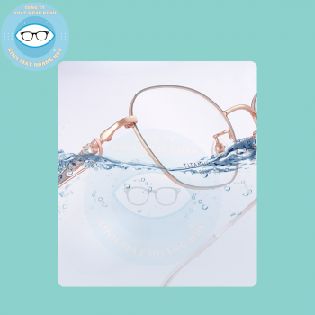 Gọng kim loại mã 6295